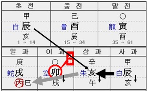 子孫爻 骨重分析